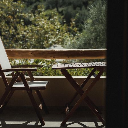 Acropolis Mystra Guesthouse 米斯特拉斯 外观 照片